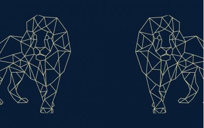 Informe de Rendimentos 2021